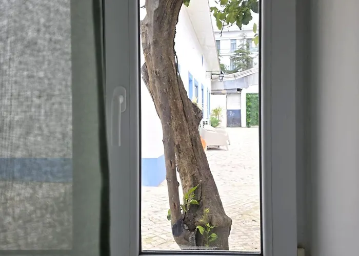 Casinhas Da Ajuda Nº13 Chalet *